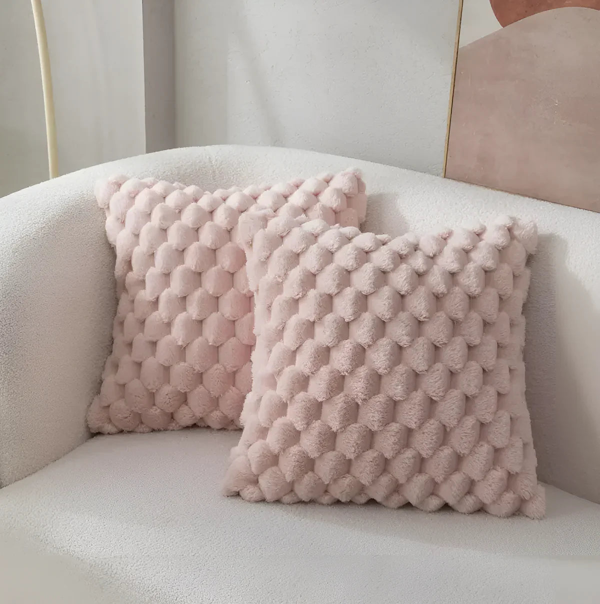 Housses de coussin