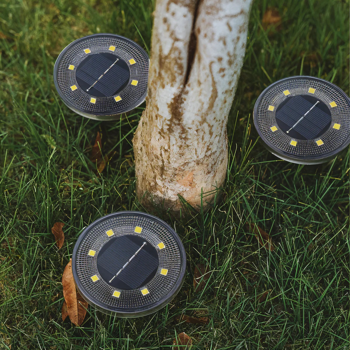 Liva | Lampe Solaire de Sol