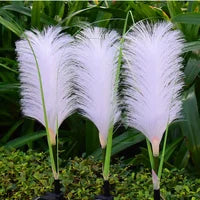 Linor | Lanterne Solaire Roseau